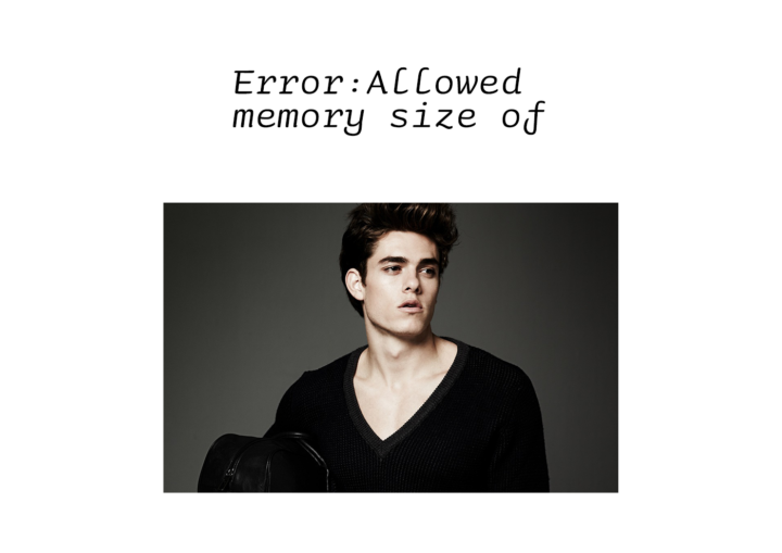 ワードプレスエラー「 Fatal error: Allowed memory size of」に対処する